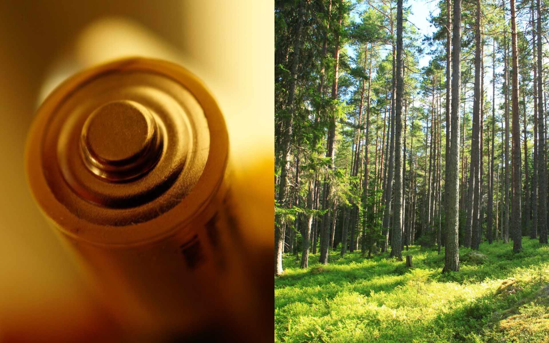 Επανάσταση στα ηλεκτρικά; Νέες μπαταρίες από... ξύλο!