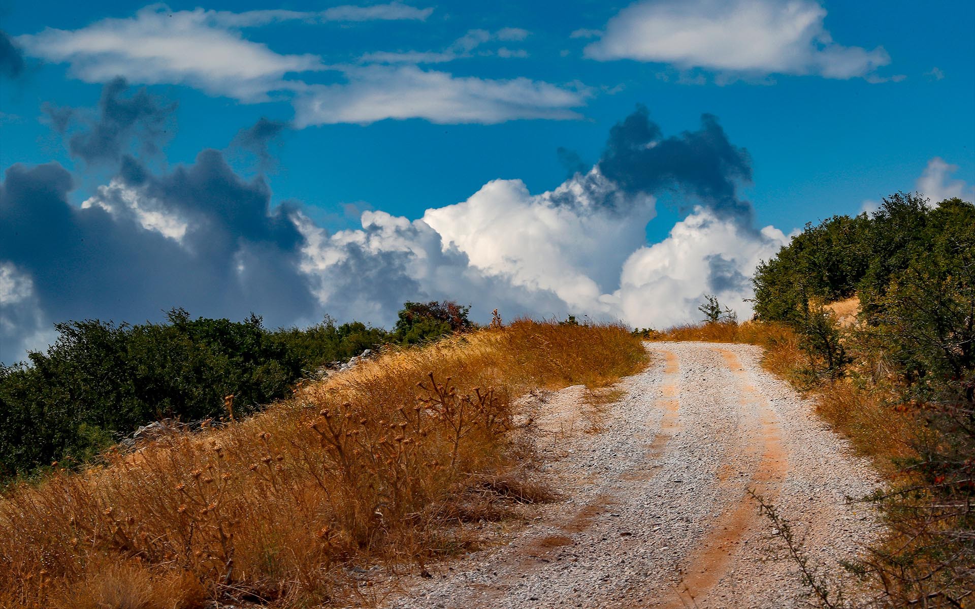 EKO Ράλλυ Ακρόπολις: Πού θα δω αγώνα την Παρασκευή 9/9