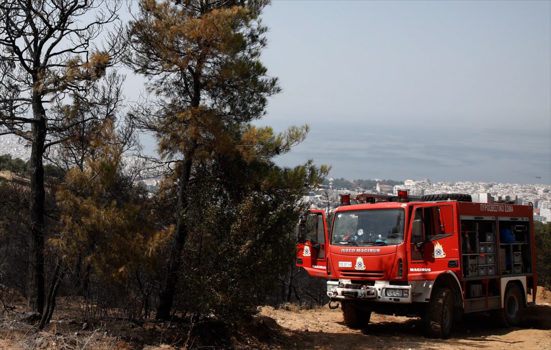 Έργα πυρασφάλειας στην Αττική - Πώς θωρακίζονται τα ανατολικά προάστια