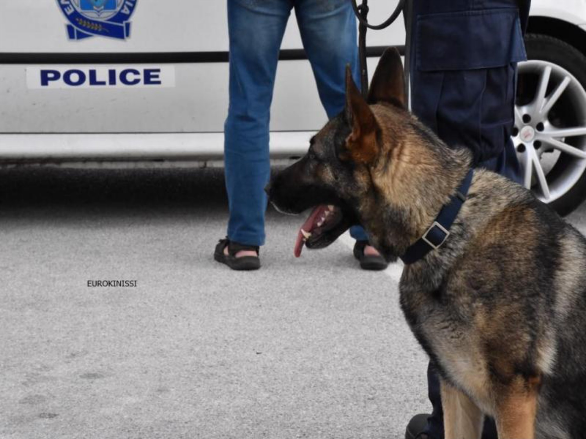 Αθήνα: Οδηγός κυκλοφορούσε σε μεγάλη Λεωφόρο με 11.002 ναρκωτικά χάπια! 