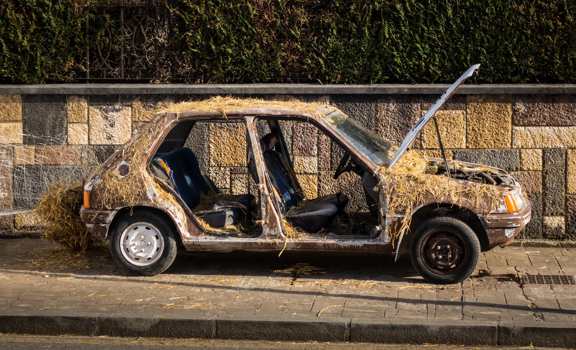 Οι αρουραίοι τρέφονται με αυτοκίνητα – Τεράστιο πρόβλημα σε πολλές πόλεις