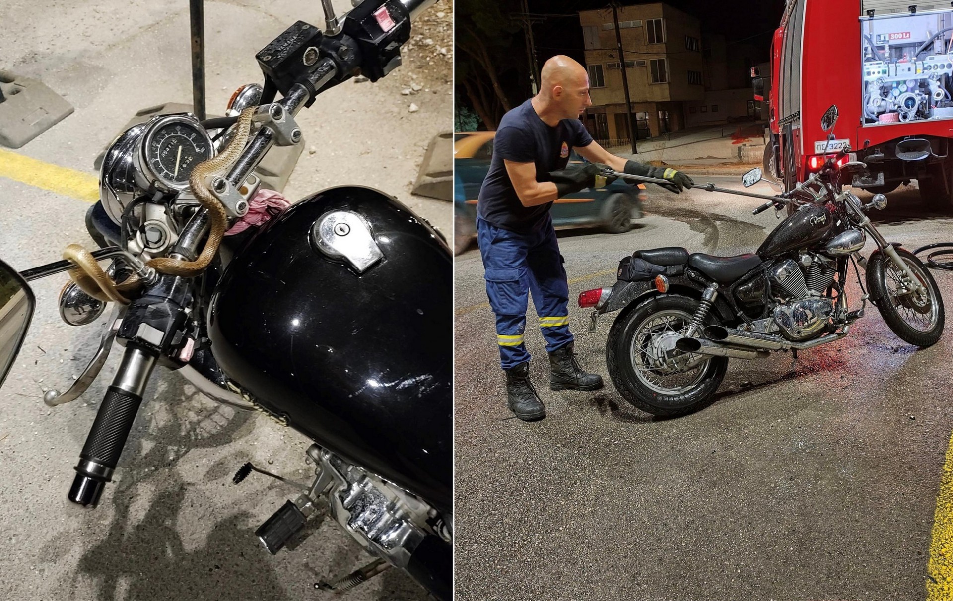 Τι έπαθε οδηγός στην Ηγουμενίτσα - Φίδι τυλίχθηκε στο τιμόνι ενώ οδηγούσε