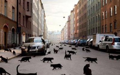 Συναγερμός για τα ανασφάλιστα ΙΧ