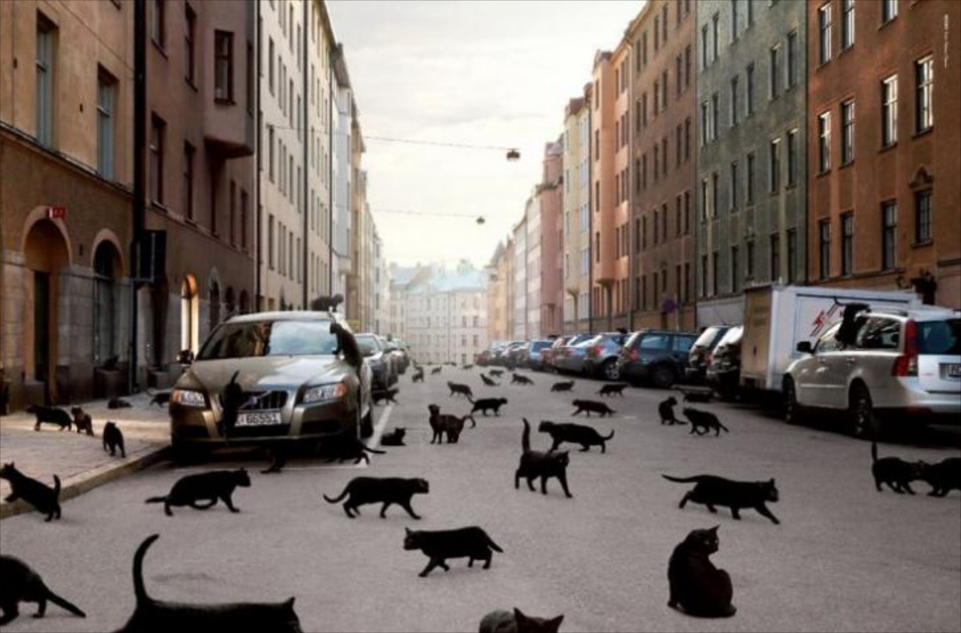 Αγορά αυτοκινήτου το Μάρτιο 2012
