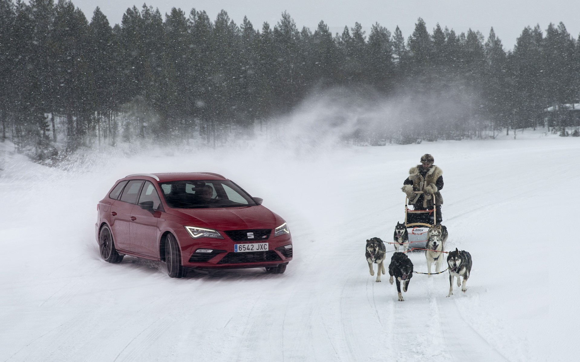 300 άλογα και 6 σκυλιά στα χιόνια (video)
