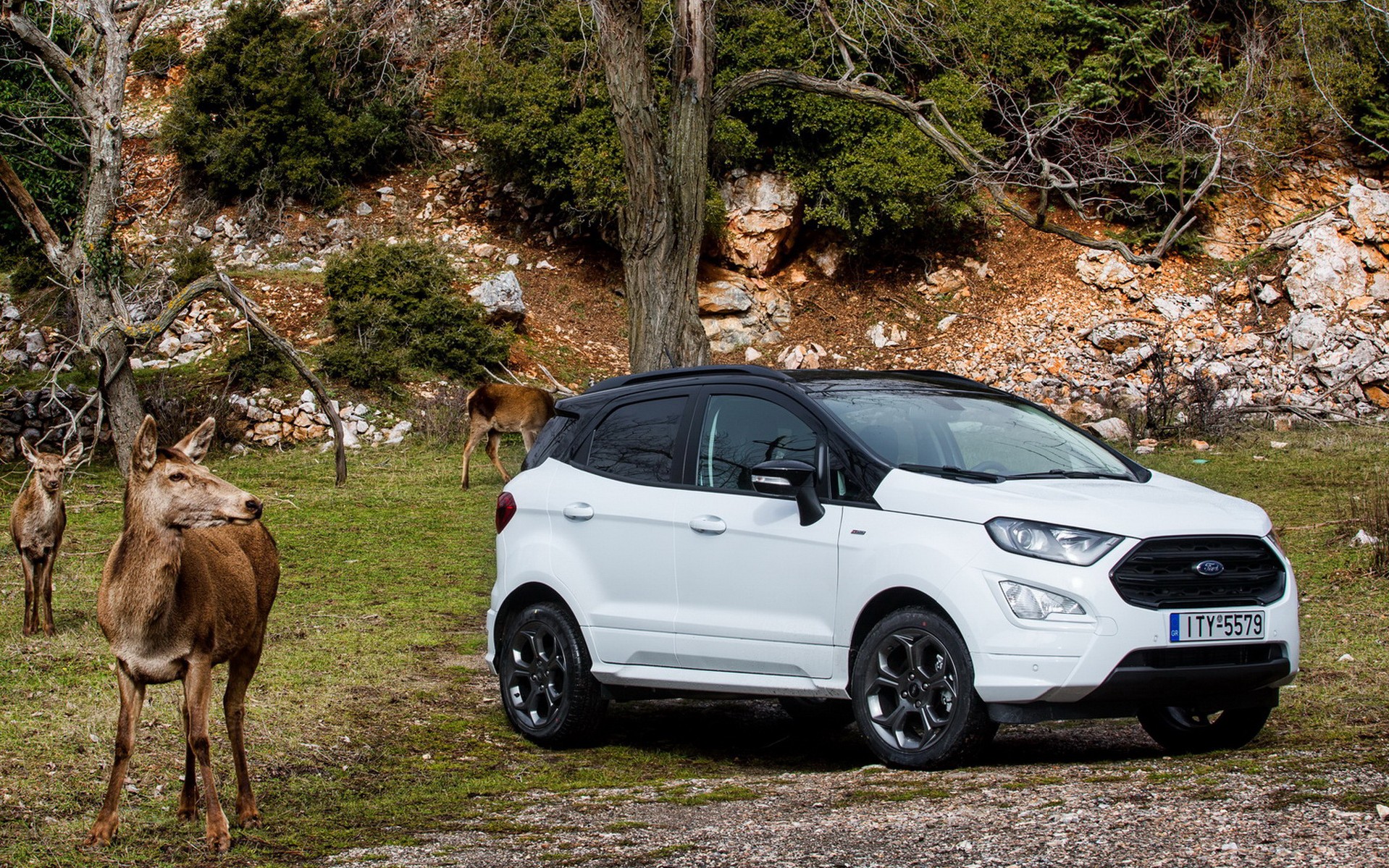 Ford EcoSport: Εντός κι εκτός δρόμου, εντός κι εκτός πόλης