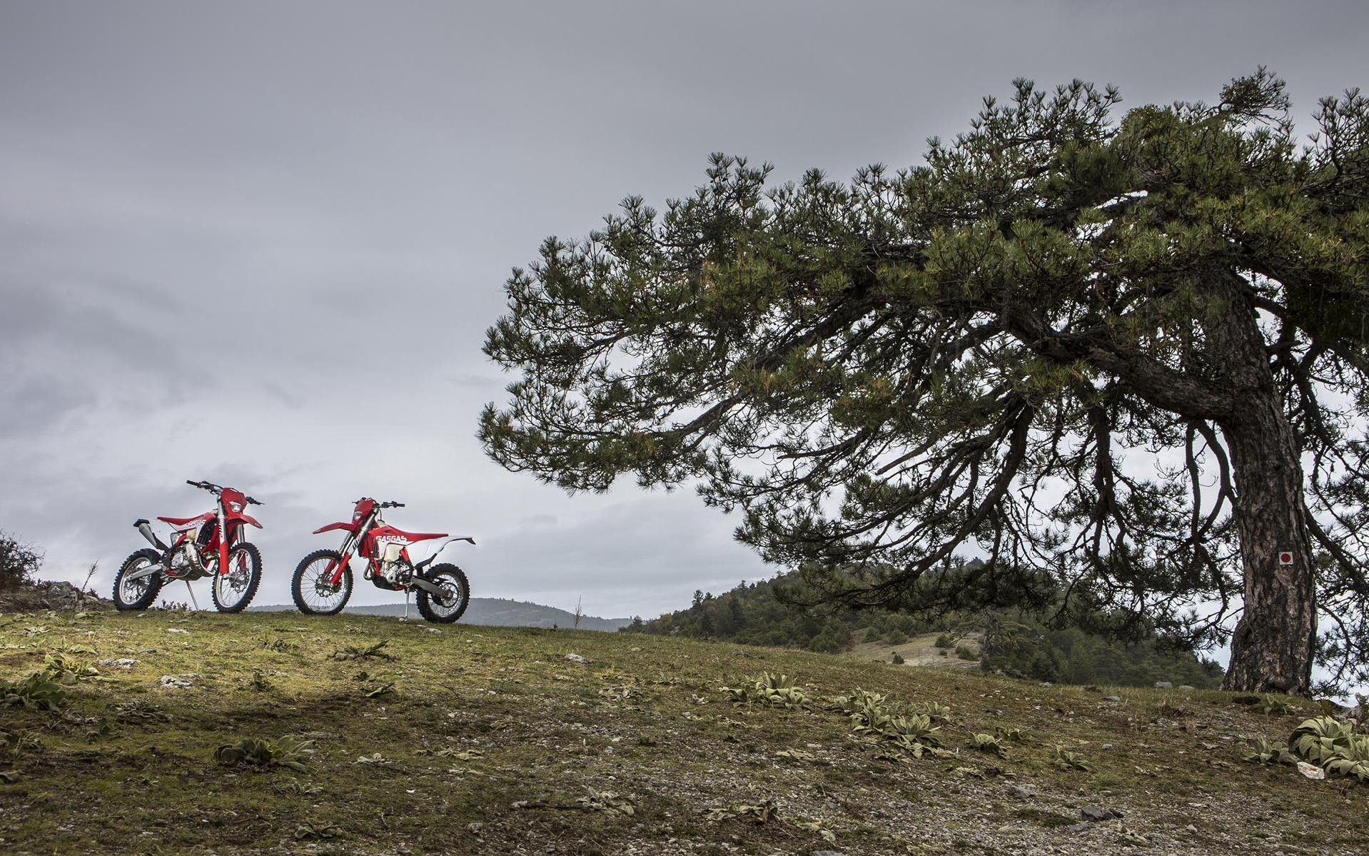 Off Road KTM-Husqvarna-GasGas ΜΥ 2022 - Χωματουργικές εργασίες τα 3 αδέρφια 