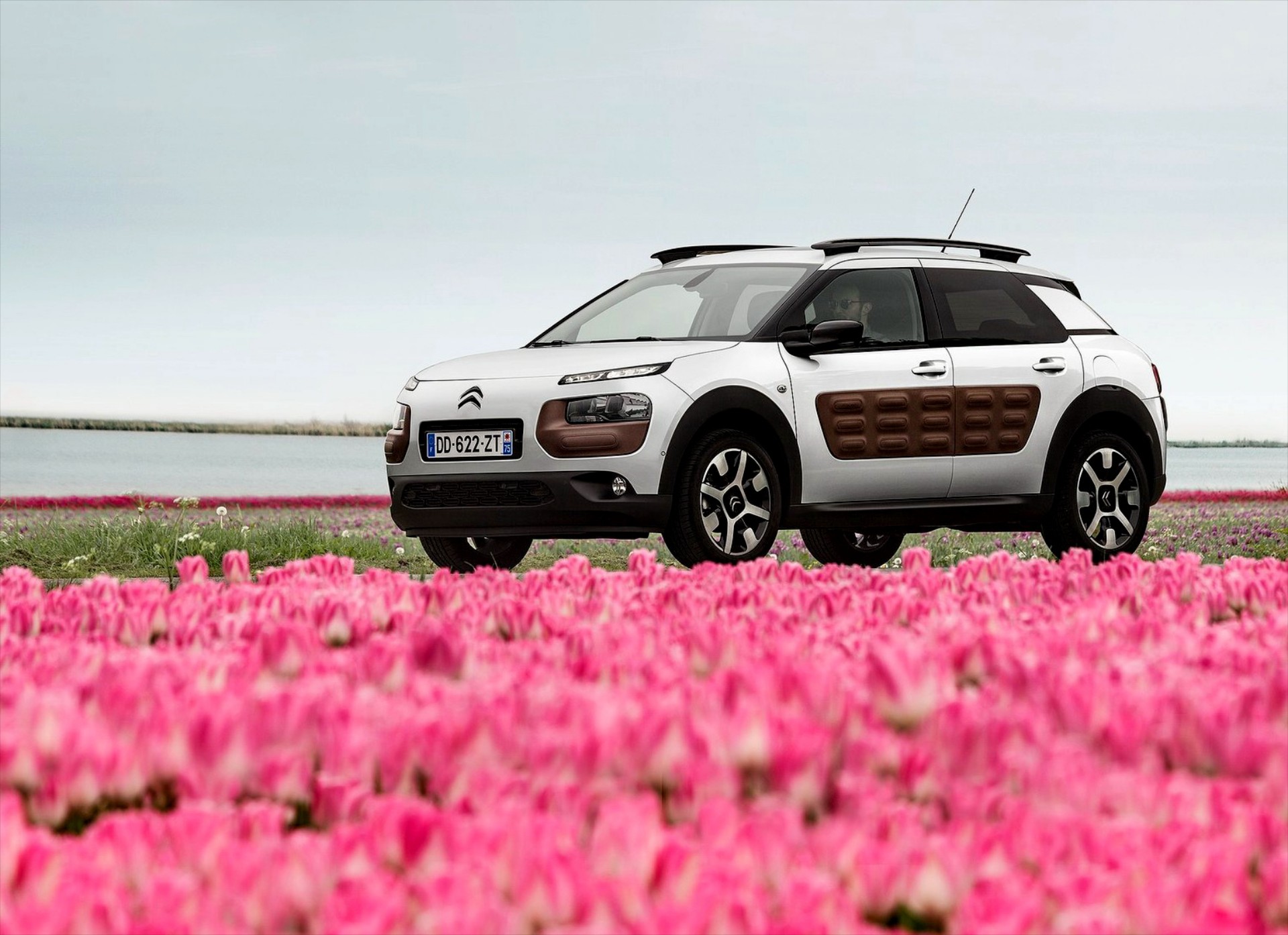 Πόσο Citroen είναι το C4 Cactus;