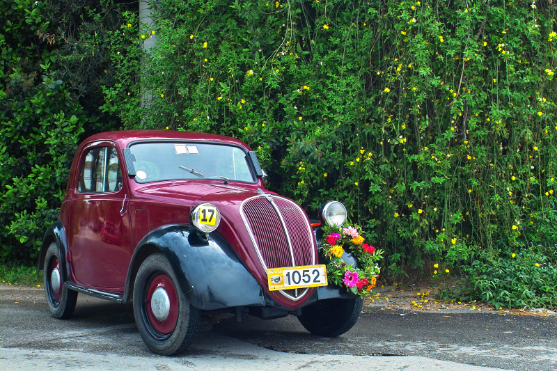 TOPOLINO Dolcevita 5,4kWh