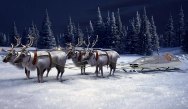 Διάλεξε έλκηθρο για τον Άγιο Βασίλη