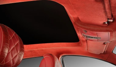 Εσωτερικό από δέρμα… κροκόδειλου