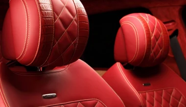 Εσωτερικό από δέρμα… κροκόδειλου