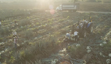 Τι κοινό έχουν τα πλαστικά ενός Ford με την τεκίλα;