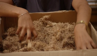 Τι κοινό έχουν τα πλαστικά ενός Ford με την τεκίλα;