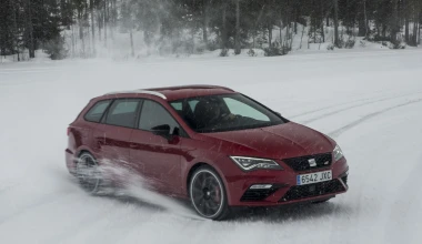 300 άλογα και 6 σκυλιά στα χιόνια (video)