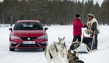 300 άλογα και 6 σκυλιά στα χιόνια (video)