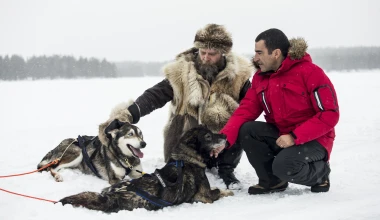 300 άλογα και 6 σκυλιά στα χιόνια (video)