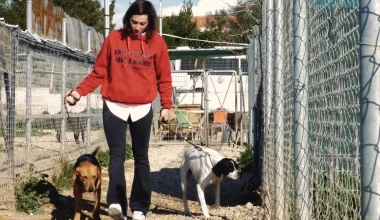 19 Έλληνες καινοτομούν! (vid)