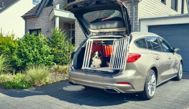 Πόσο ασφαλής είναι η μεταφορά ενός σκύλου με το αυτοκίνητο; (vid)