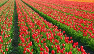 Οι 5 πιο ρομαντικές διαδρομές στην Ευρώπη – και μία στην Ελλάδα