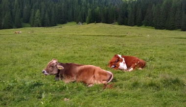 Αποστολή Camp Jeep 2019: This is Jeep!