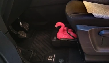 Πού κρύβεται το flamingo, στο Berlingo;