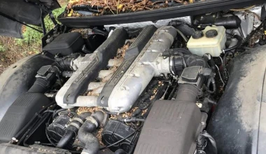 Η απόλυτη παρακμή: Μοναδικές Ferrari ήταν παρατημένες επί 10 χρόνια σε χωράφι