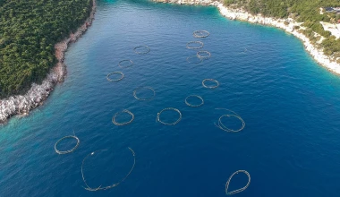 Σημαντικές πρωτοβουλίες από την Hyundai για την Παγκόσμια Ημέρα Ωκεανών