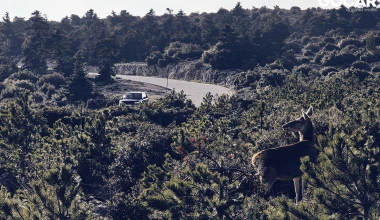 Δοκιμή Range Rover MHEV P400: Ο βασιλιάς