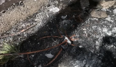 Λαμπάδιασε Tesla στην Αθήνα – Δεν έπαθε τίποτα η μπαταρία (αποκλειστικές εικόνες)