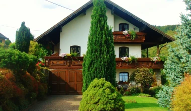 Μια μέρα στο Ring