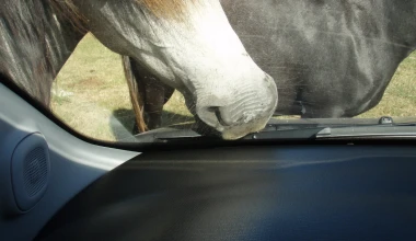 Διακοπές με Fiat Panda 4x4 1.3 MTJ