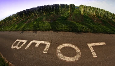 WRC 2013: Ράλλυ Γαλλίας: Νίκη και τίτλος για Ogier