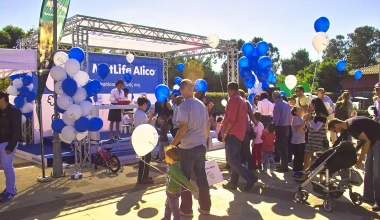 10o Concours d’ Elegance