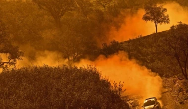 VIDEO: WRC Full Season Review 2013