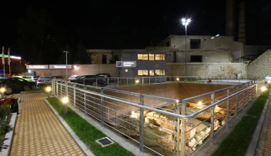 DasWeltAuto: Τα μεταχειρισμένα της Volkswagen

