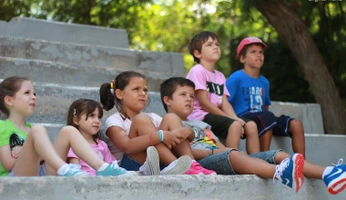 Μαθήματα κυκλοφοριακής αγωγής