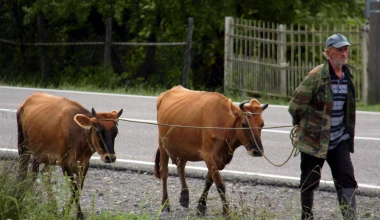 ROUTE 2012: Στο δρόμο της επιστροφής