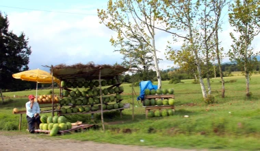 ROUTE 2012: On the way back