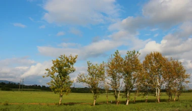 ROUTE 2012: Στο δρόμο της επιστροφής