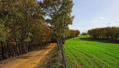 Στο Δάσος της Φολόης με Opel Astra 1.6 diesel