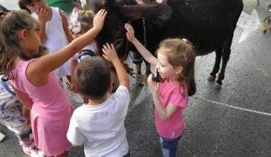 Πανεπιστημίου: κλειστή στα ΙΧ, ανοιχτή στον κόσμο