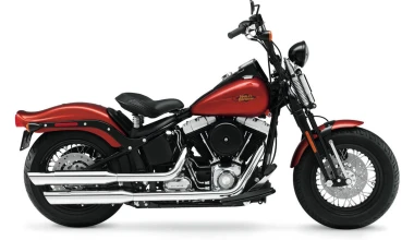 Iron horse ΙΙΙ*: Harley Davidson