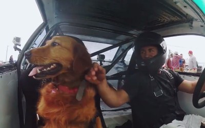 Driftάρει με τον… τετράποδο φίλο του (VIDEO)
