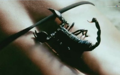 Abarth 500C: Topless η Catrinel Menghia 
