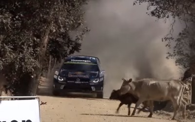 Επικό σώσιμο του S. Ogier (video)