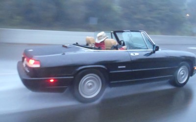 10 cabrio που τους 