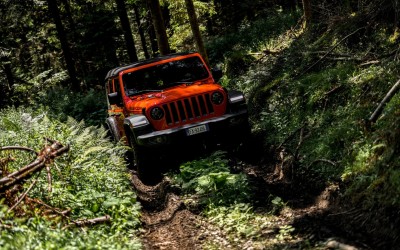 Magic number 