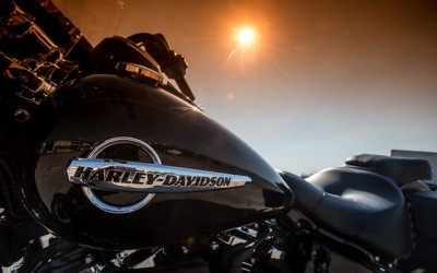 Harley On Tour 2020