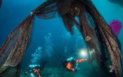 H Hyundai συνεργάζεται με τη Healthy Seas για καθαρές θάλασσες 